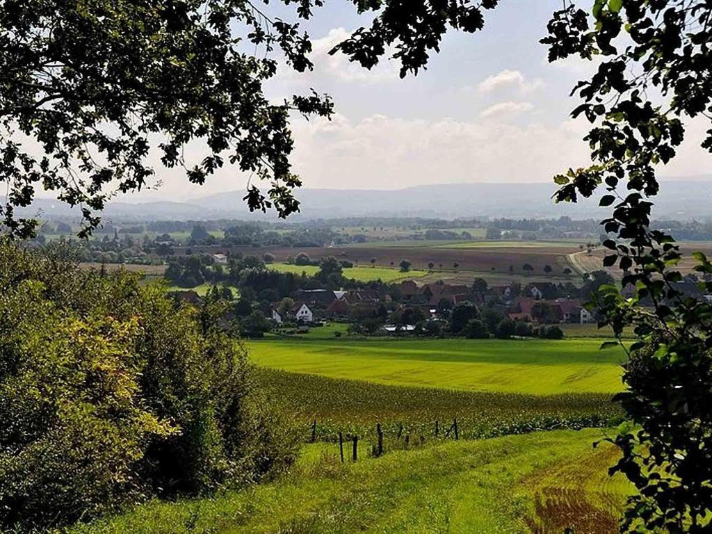 Hotel Weinschanke Rohdental Hessisch Oldendorf ภายนอก รูปภาพ